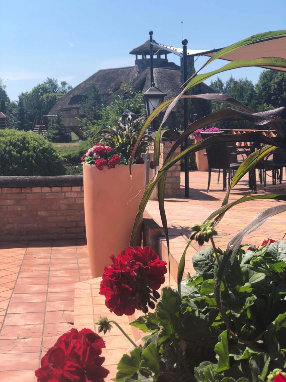 Villa Audruvis Joniškis Zewnętrze zdjęcie